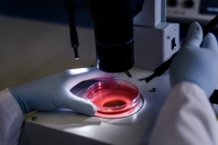 Wykorzystanie nanotechnologii w onkologii